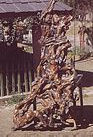 Drift Wood